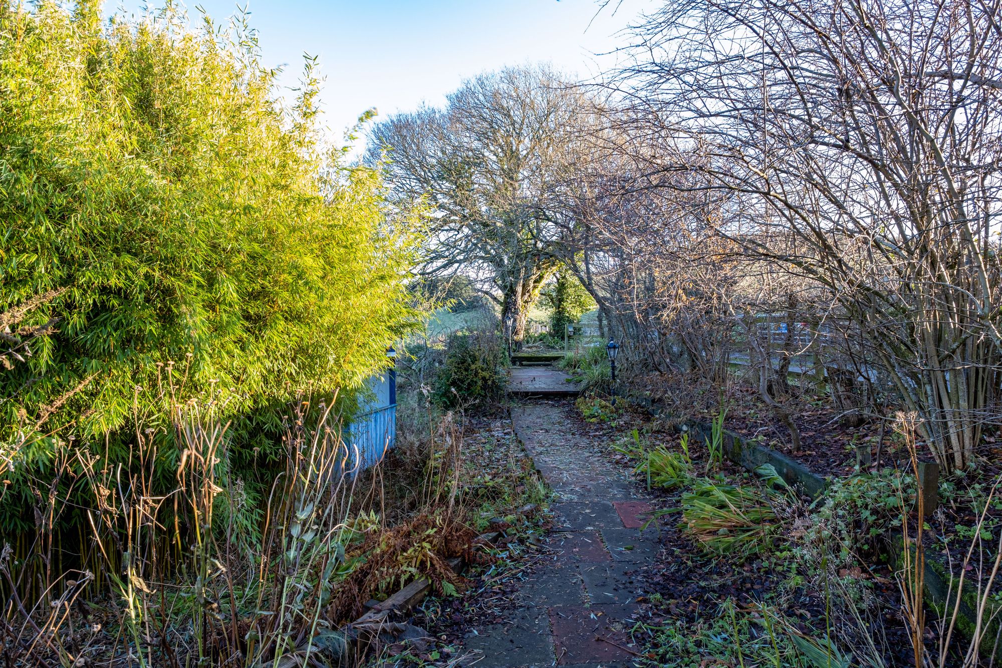 5 bed house for sale in Muir Of Fowlis, Alford  - Property Image 40