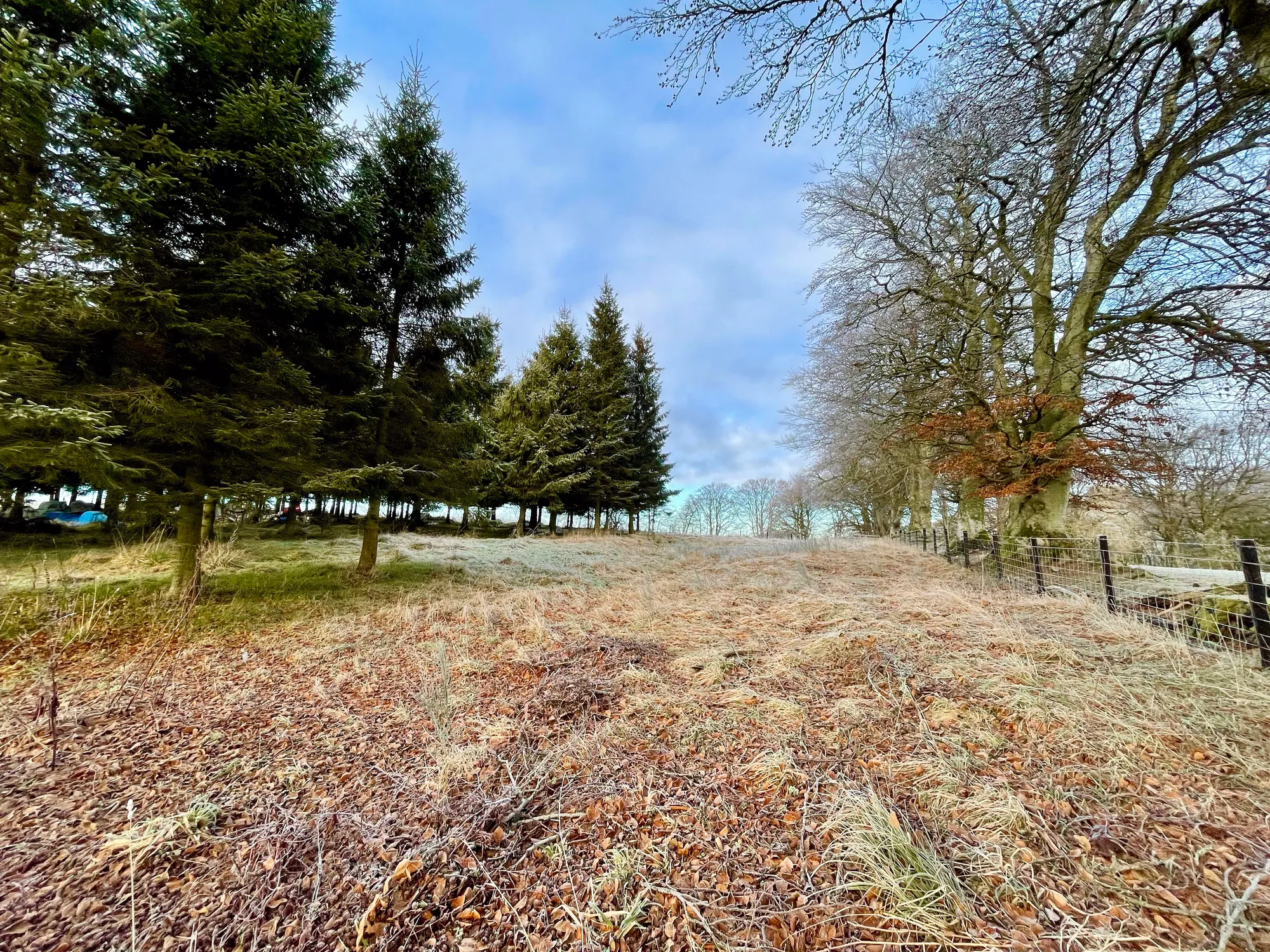 6 bed house for sale in Muir Of Fowlis, Alford  - Property Image 57