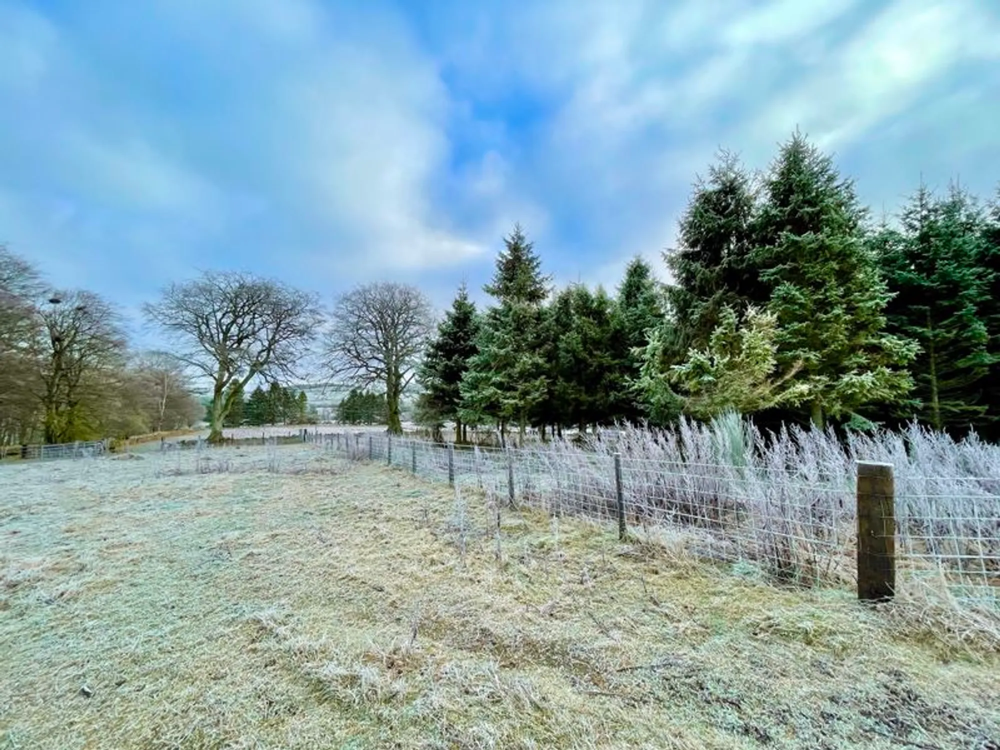 6 bed house for sale in Muir Of Fowlis, Alford  - Property Image 56