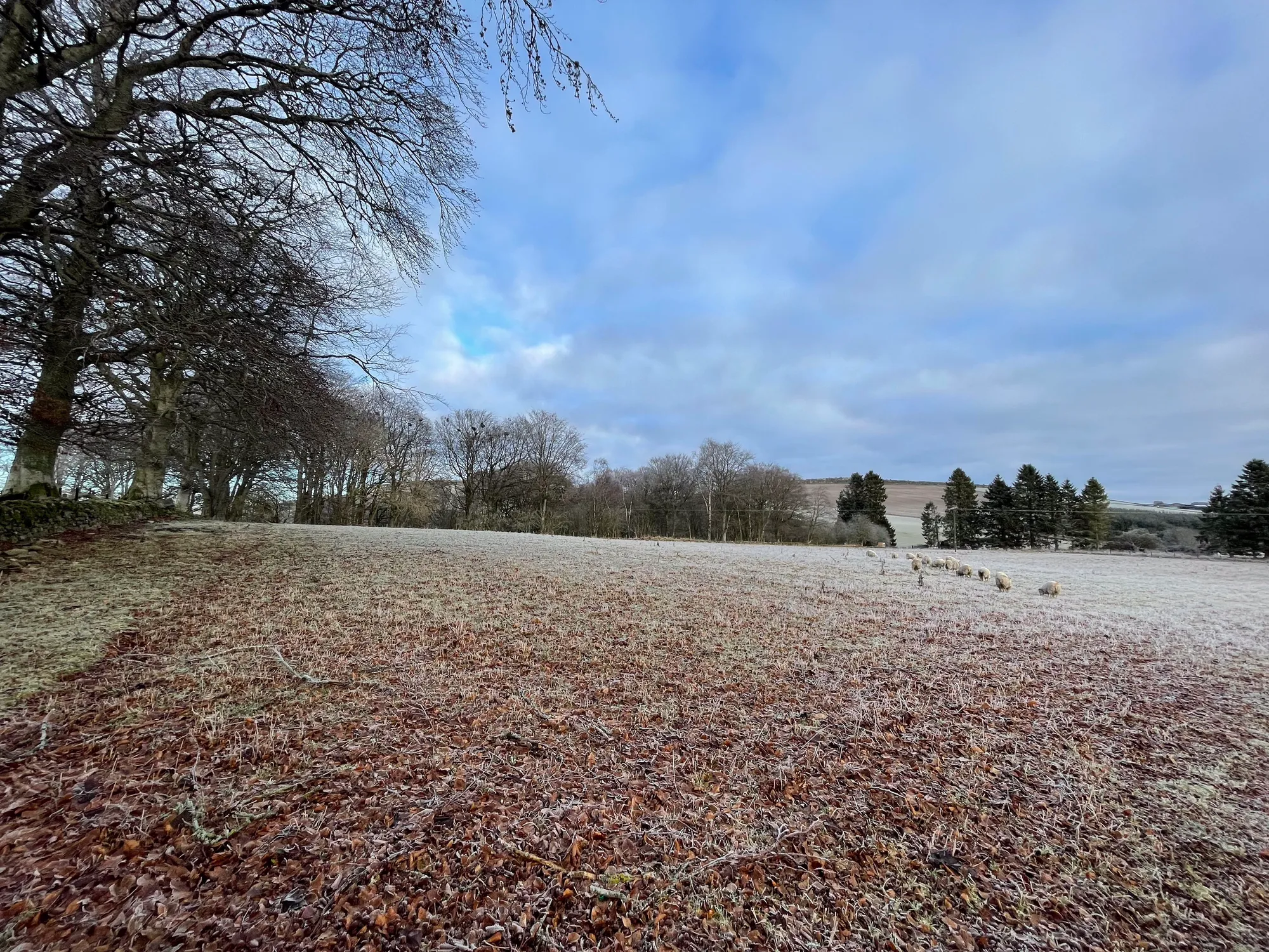 6 bed house for sale in Muir Of Fowlis, Alford  - Property Image 59